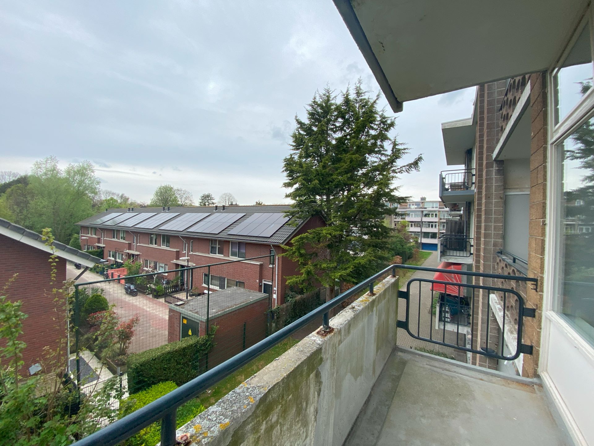 Image 15
